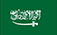 https://sa.zpgearmotor.com