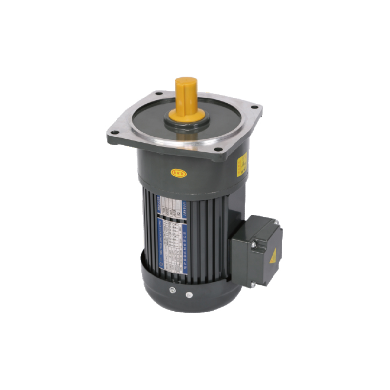 AC Brake Gear Motor RAZP Speed Reduction Motor