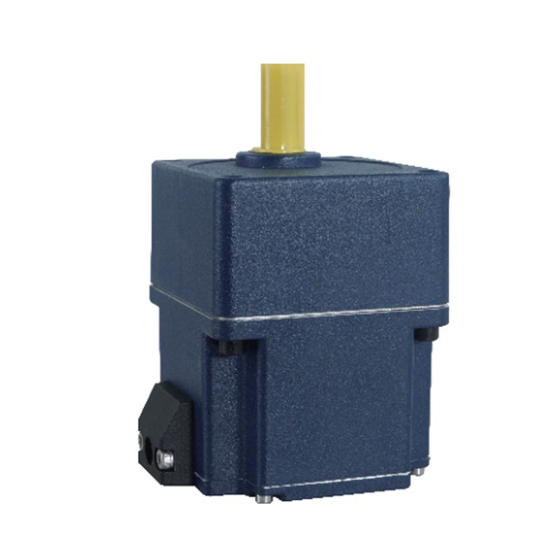 RAZP Heavy Duty Gear Motor For Industrial Production Line Equipment