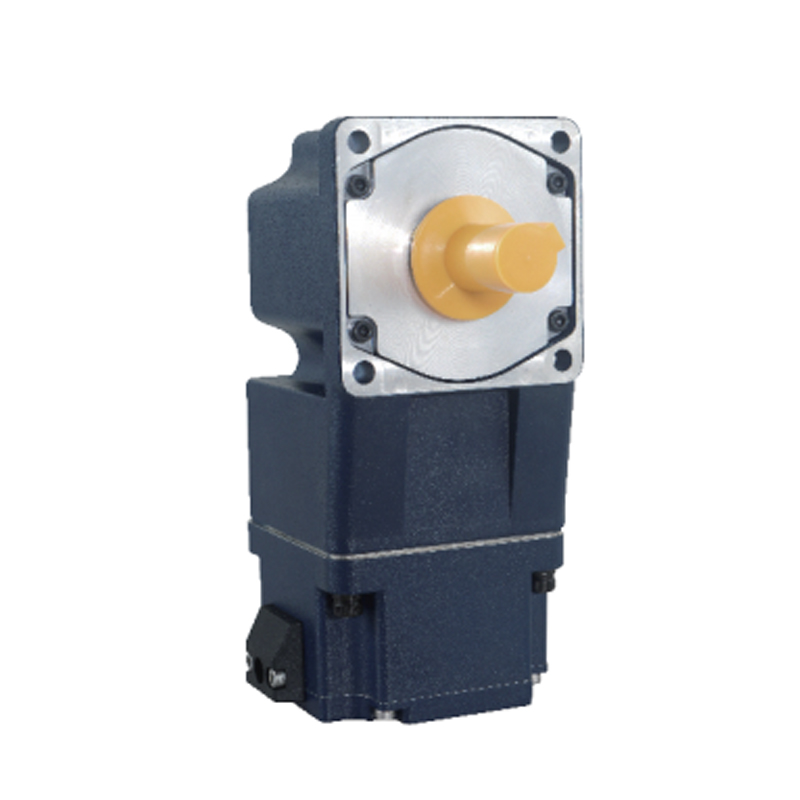 RAZP Custom DC Gear Motor For Diversified Equipment Applications