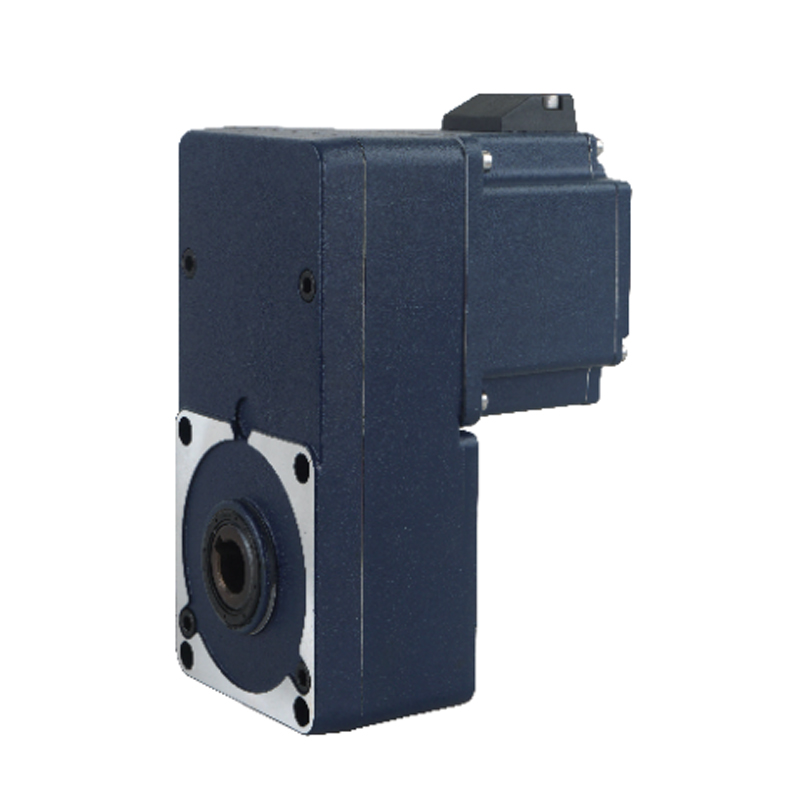 RAZP Heavy Duty Gear Motor For Industrial Application
