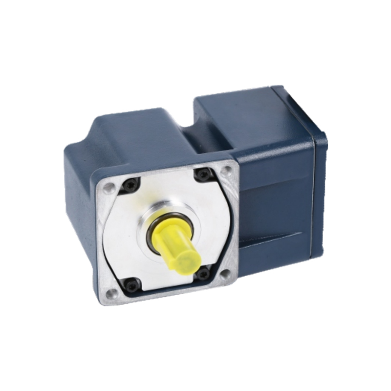 RAZP Special Electric Motor For Unusual Operating Conditions